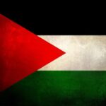 إلياس شكوب